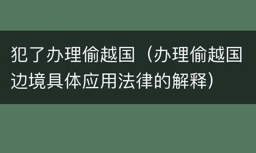 犯了办理偷越国（办理偷越国边境具体应用法律的解释）
