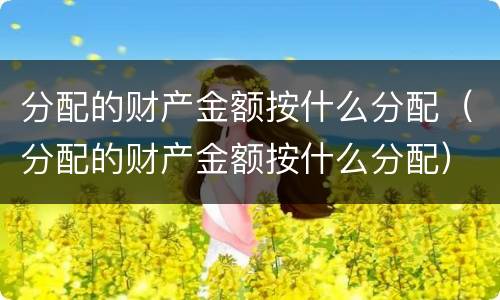 分配的财产金额按什么分配（分配的财产金额按什么分配）
