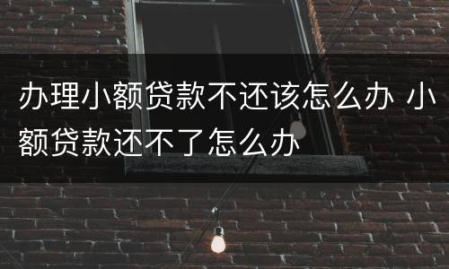 办理小额贷款不还该怎么办 小额贷款还不了怎么办