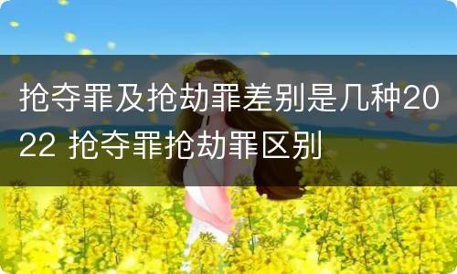 抢夺罪及抢劫罪差别是几种2022 抢夺罪抢劫罪区别