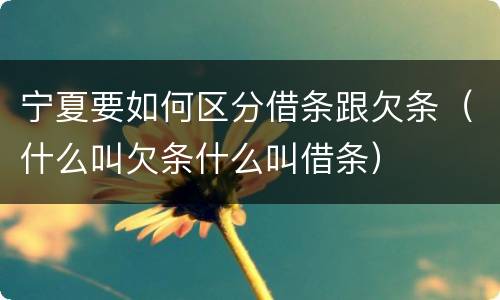 宁夏要如何区分借条跟欠条（什么叫欠条什么叫借条）