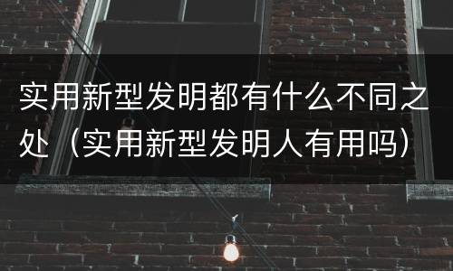 实用新型发明都有什么不同之处（实用新型发明人有用吗）