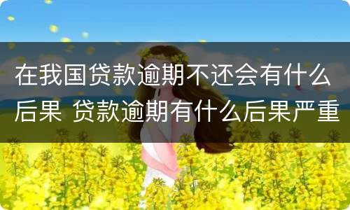 在我国贷款逾期不还会有什么后果 贷款逾期有什么后果严重
