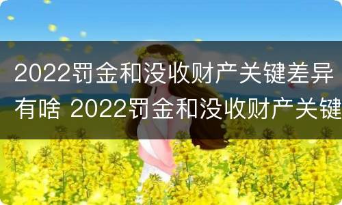 2022罚金和没收财产关键差异有啥 2022罚金和没收财产关键差异有啥关系