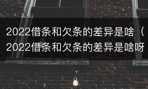 2022借条和欠条的差异是啥（2022借条和欠条的差异是啥呀）