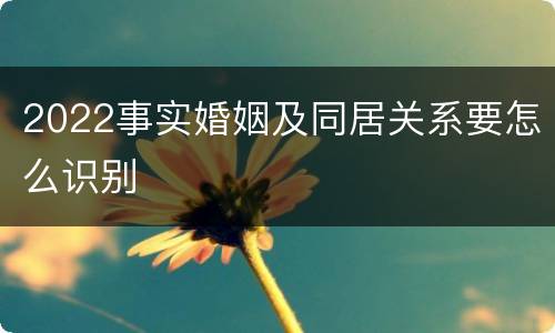 2022事实婚姻及同居关系要怎么识别