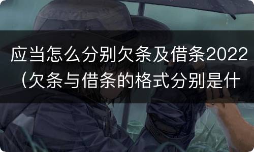 应当怎么分别欠条及借条2022（欠条与借条的格式分别是什么）