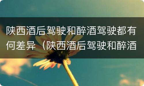 陕西酒后驾驶和醉酒驾驶都有何差异（陕西酒后驾驶和醉酒驾驶都有何差异和不足）
