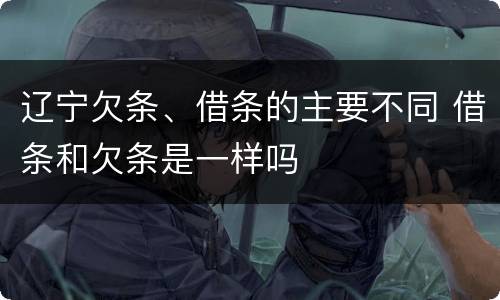 辽宁欠条、借条的主要不同 借条和欠条是一样吗