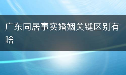 广东同居事实婚姻关键区别有啥