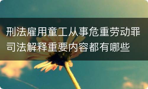 刑法雇用童工从事危重劳动罪司法解释重要内容都有哪些