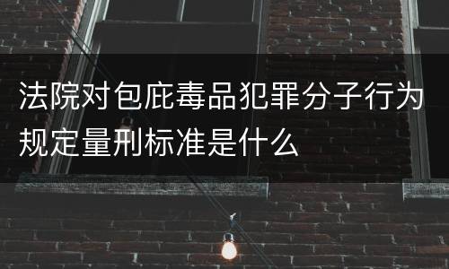 法院对包庇毒品犯罪分子行为规定量刑标准是什么