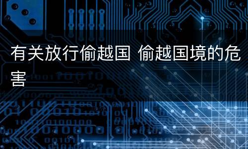 有关放行偷越国 偷越国境的危害