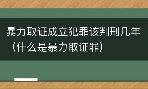 暴力取证成立犯罪该判刑几年（什么是暴力取证罪）