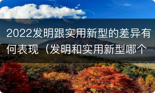 2022发明跟实用新型的差异有何表现（发明和实用新型哪个好）