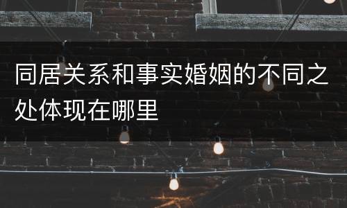 同居关系和事实婚姻的不同之处体现在哪里