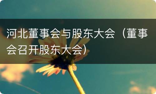 河北董事会与股东大会（董事会召开股东大会）