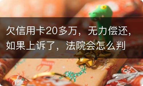 欠信用卡20多万,无力偿还,如果上诉了,法院会怎么判