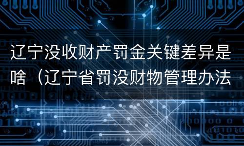 辽宁没收财产罚金关键差异是啥（辽宁省罚没财物管理办法）