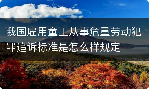 我国雇用童工从事危重劳动犯罪追诉标准是怎么样规定