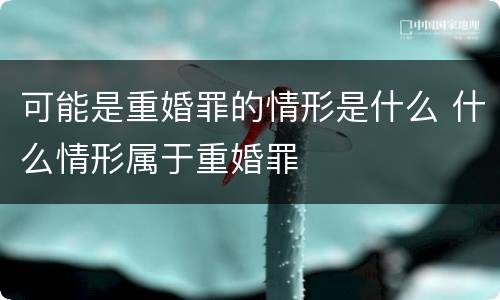 可能是重婚罪的情形是什么 什么情形属于重婚罪