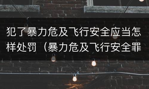 犯了暴力危及飞行安全应当怎样处罚（暴力危及飞行安全罪是危险犯吗）