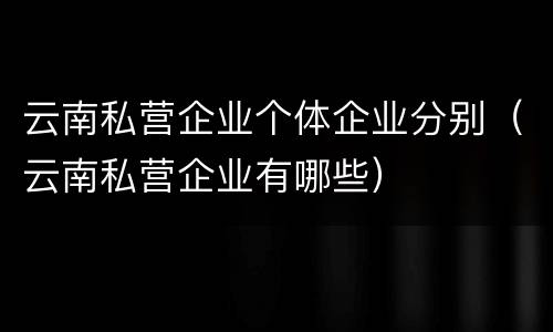 云南私营企业个体企业分别（云南私营企业有哪些）