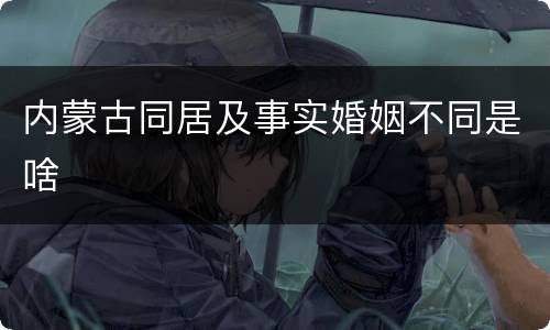 内蒙古同居及事实婚姻不同是啥