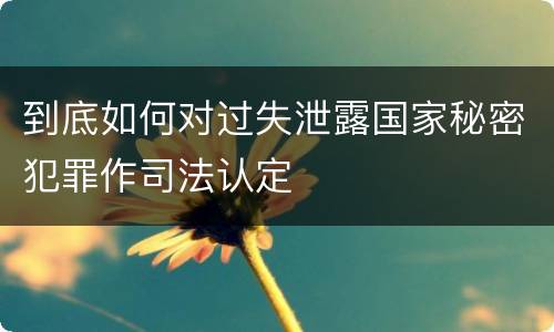 到底如何对过失泄露国家秘密犯罪作司法认定