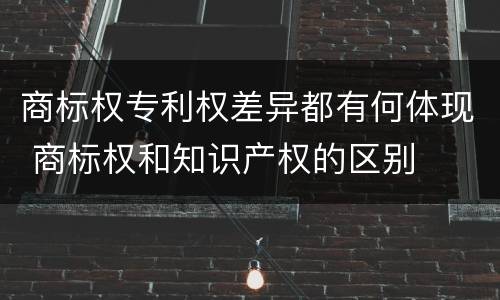 商标权专利权差异都有何体现 商标权和知识产权的区别
