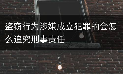 盗窃行为涉嫌成立犯罪的会怎么追究刑事责任