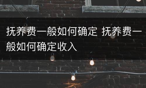 抚养费一般如何确定 抚养费一般如何确定收入