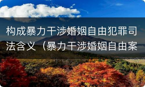 构成暴力干涉婚姻自由犯罪司法含义（暴力干涉婚姻自由案件属于）
