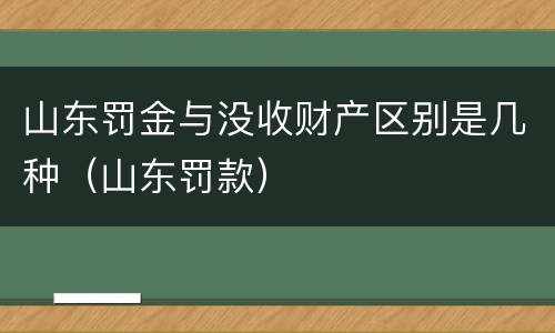 山东罚金与没收财产区别是几种（山东罚款）