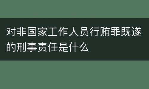 对非国家工作人员行贿罪既遂的刑事责任是什么