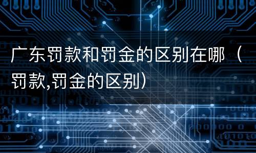 广东罚款和罚金的区别在哪（罚款,罚金的区别）