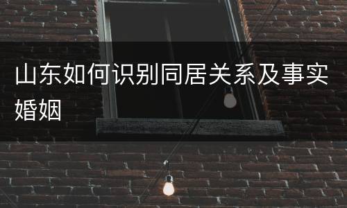 山东如何识别同居关系及事实婚姻