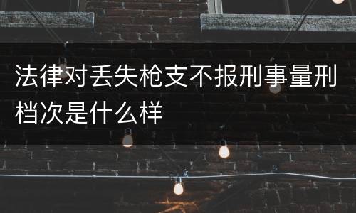 法律对丢失枪支不报刑事量刑档次是什么样