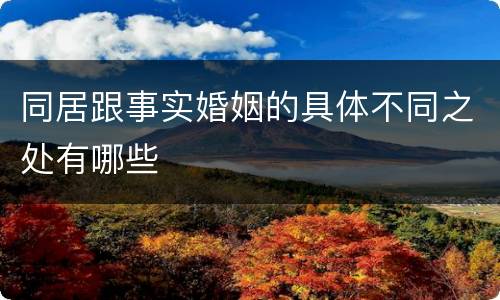 同居跟事实婚姻的具体不同之处有哪些