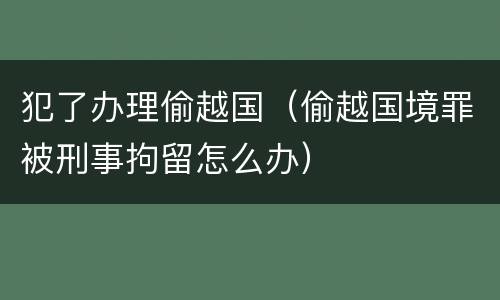 犯了办理偷越国（偷越国境罪被刑事拘留怎么办）