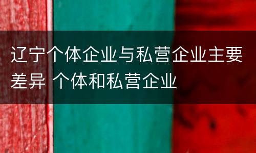 辽宁个体企业与私营企业主要差异 个体和私营企业