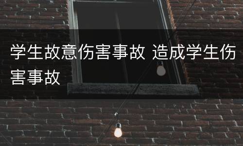 学生故意伤害事故 造成学生伤害事故