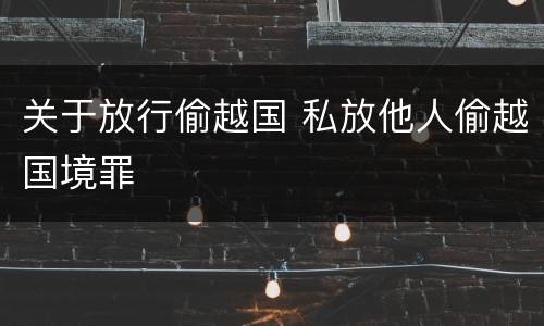 关于放行偷越国 私放他人偷越国境罪