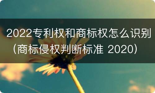 2022专利权和商标权怎么识别（商标侵权判断标准 2020）
