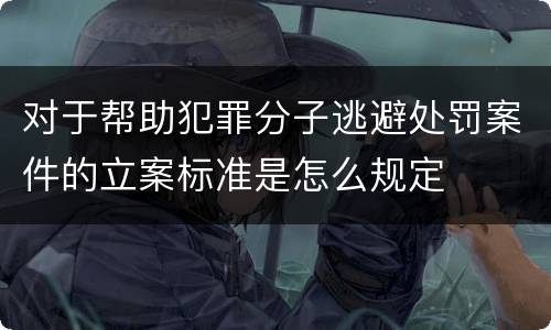 对于帮助犯罪分子逃避处罚案件的立案标准是怎么规定