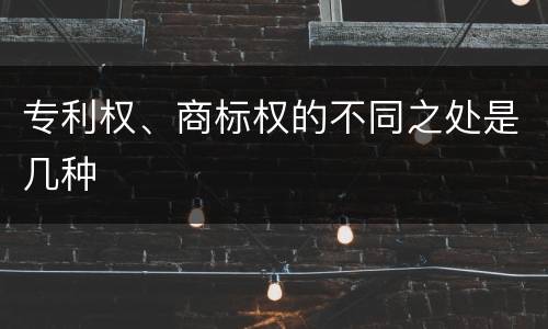 专利权、商标权的不同之处是几种