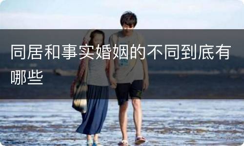 同居和事实婚姻的不同到底有哪些