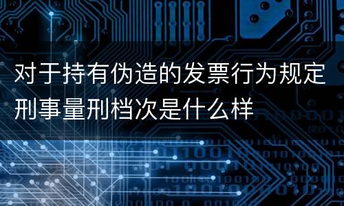 对于持有伪造的发票行为规定刑事量刑档次是什么样
