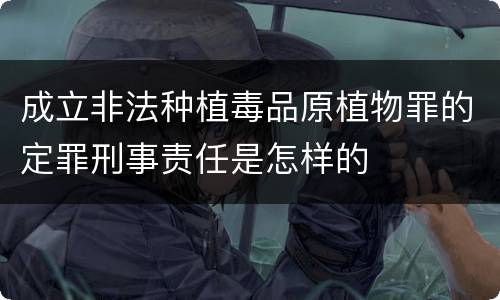 成立非法种植毒品原植物罪的定罪刑事责任是怎样的