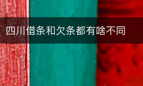 四川借条和欠条都有啥不同